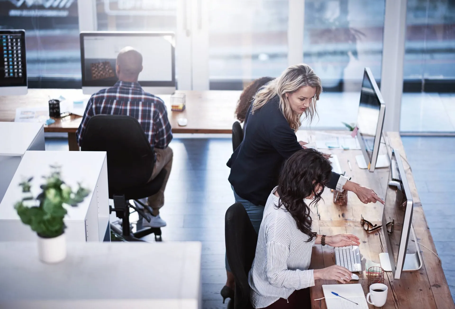 By combining SLGs with free assessments and proof-of-concept services by combining slgs with free assessments and proof-of-concept services